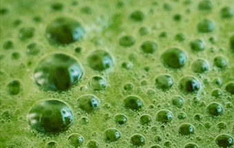 JUGO REDUCTOR DE TOXINAS